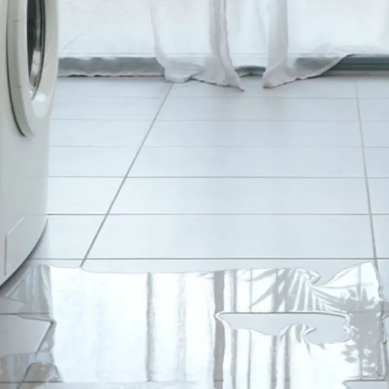 Appliance Leak Cleanup in Morgan City, LA